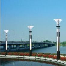  中山崟谷彩燈廠 主營(yíng) 圣誕燈,節(jié)日燈,圣誕